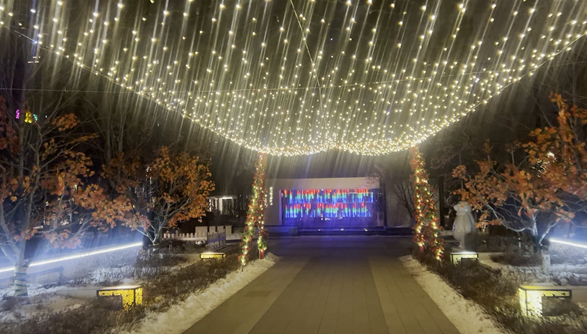 火樹銀花不夜天，霓彩華裳映小區，哈市物業小區上演“燈光秀”