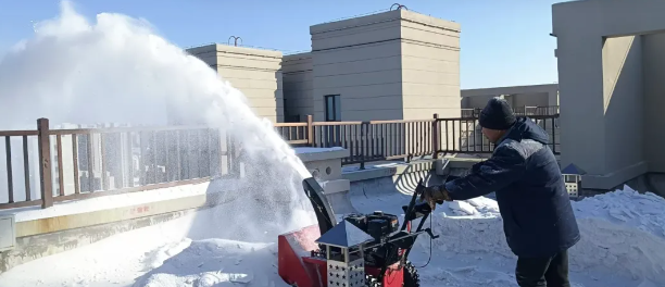 【會員風采】欣匯龍物業 | 春風化雪煥新顏 開展春季環境綜合治理專項行動